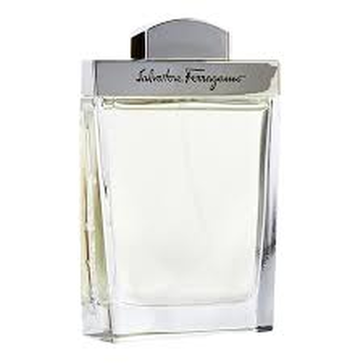Fragancia Salvatore Ferragamo Pour Homme EDT 100ML para caballero